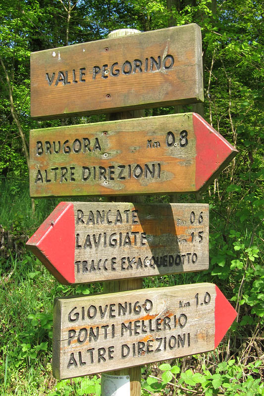 lambro_01901.jpg